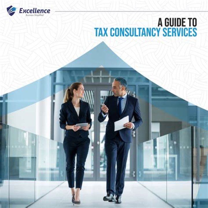 Are business consultants necessary?