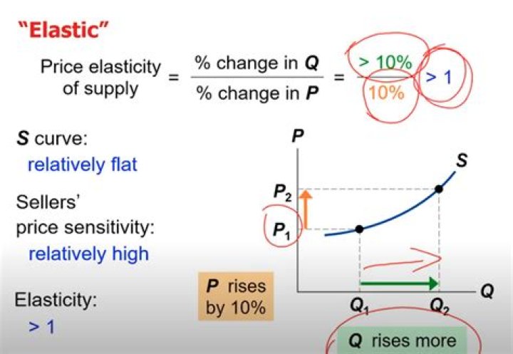 Are cars price elastic or inelastic?