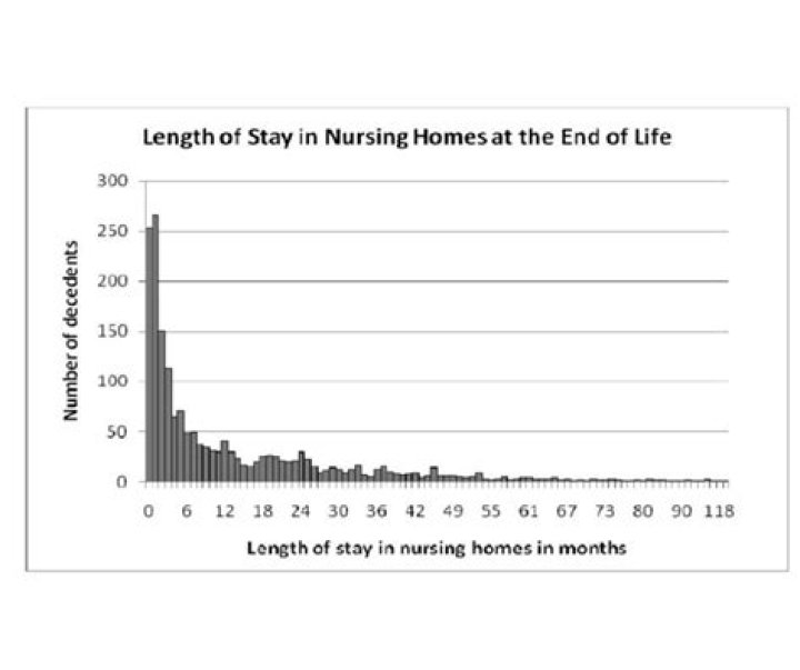 Are there nursing homes at the end of life?