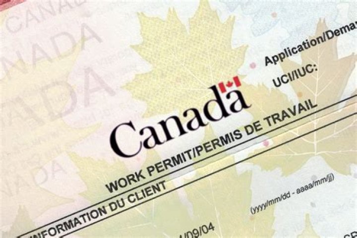 Can a Canadian get a work visa in the US?