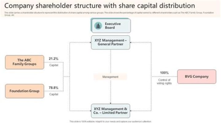Can a professional corporation have multiple shareholders?