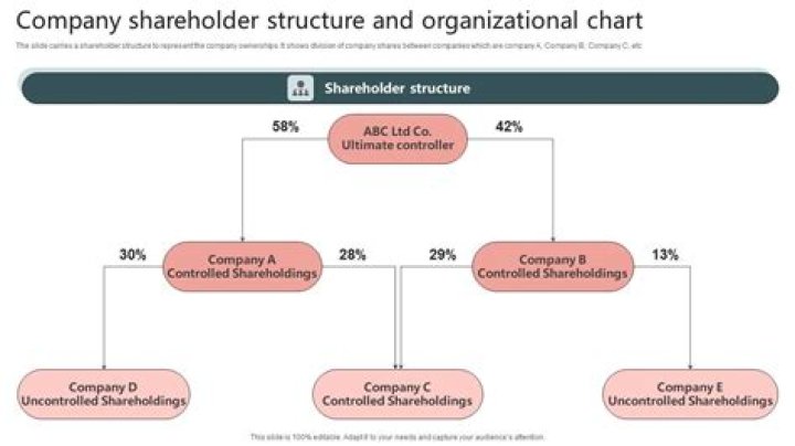 Can an S Corp have more than 100 shareholders?