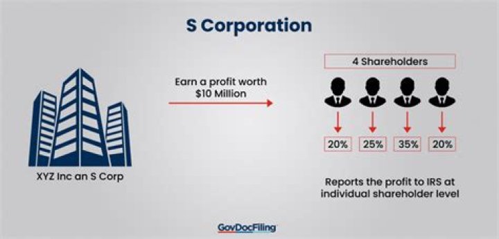 Can an S Corp report a loss?