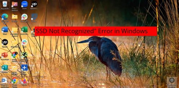 Can I error check an SSD?