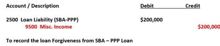 Can I use the PPP loan as a loan?