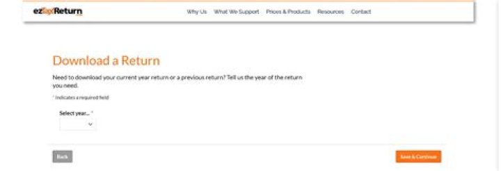 Can I view past tax returns online?