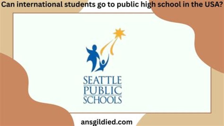 Can international students go to public school?