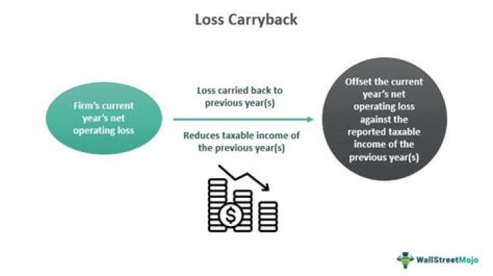 Can NOL carryback offset self employment tax?