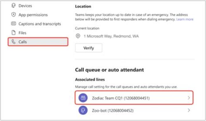 Can OPT work in client location?