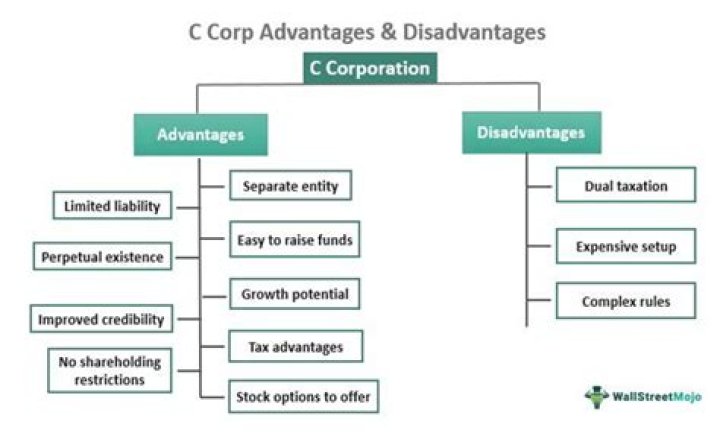 Can S Corp be shareholder of C Corp?