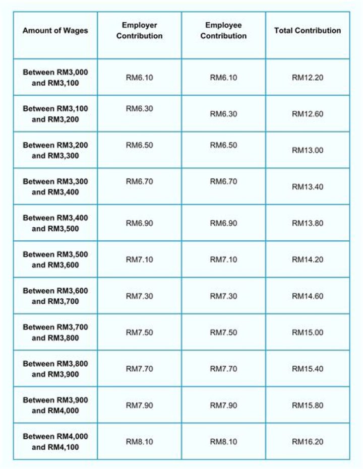 Can S Corp deduct self-employment tax?