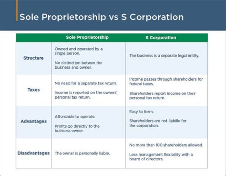 Can sole proprietors get SBA grants?