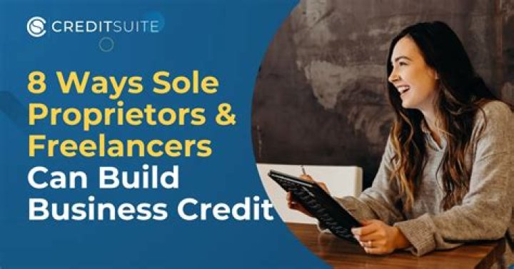 Can sole proprietors hire freelancers?