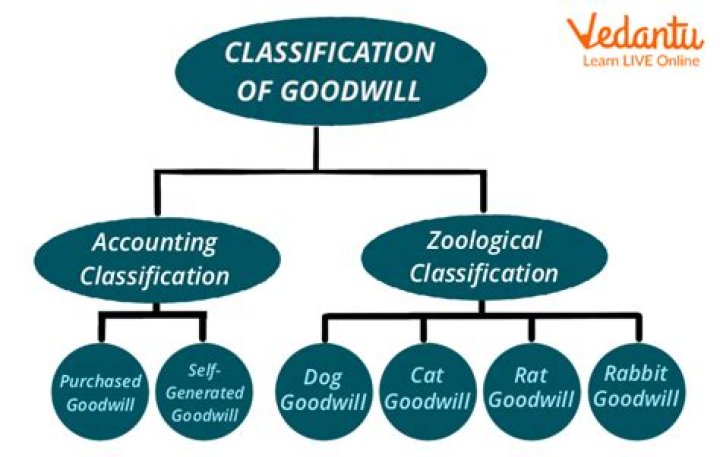 Can you amortize purchased goodwill?
