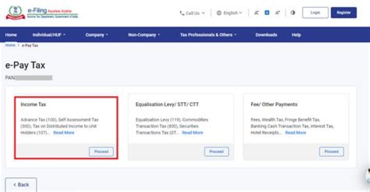 Can you pay sc taxes online?