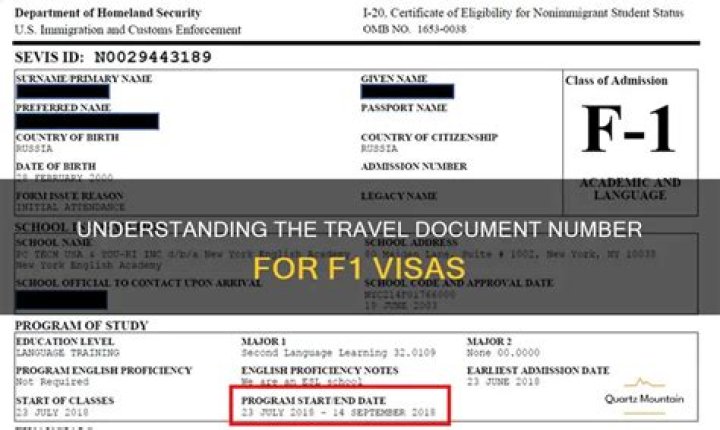 Do F1 visa students need to file taxes?