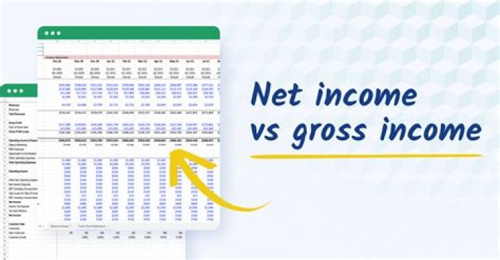 Do you file net or gross income for taxes?