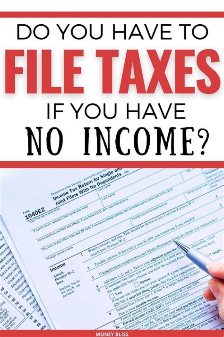 Do you have to file taxes if you have no income?