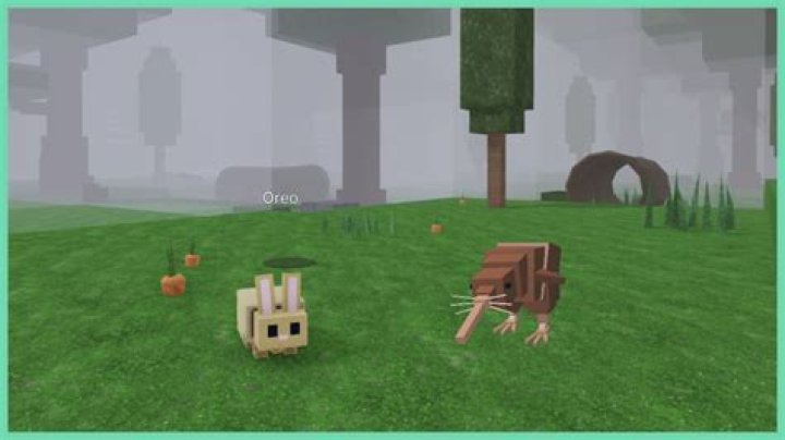 Does everyone get 2000 from Cerb?