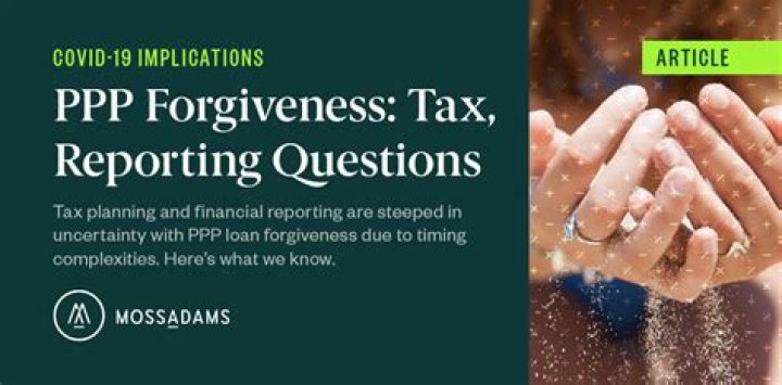 Does PPP loan forgiveness include federal taxes?