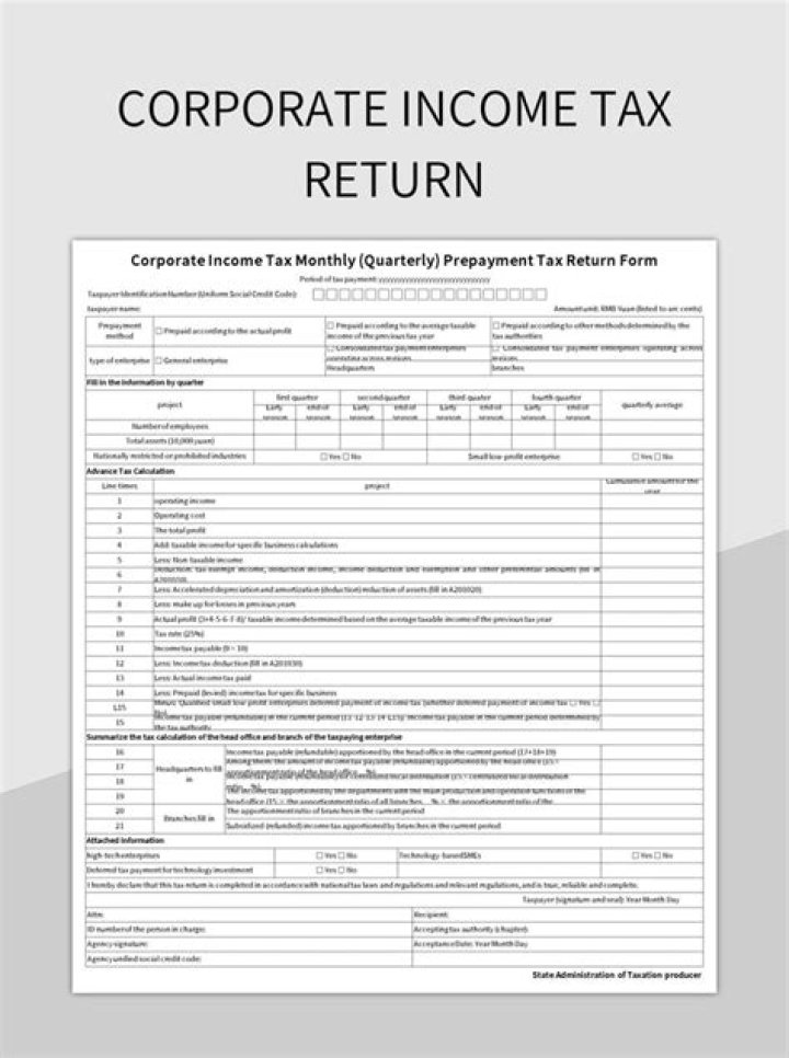 Does the company submit a company tax return?