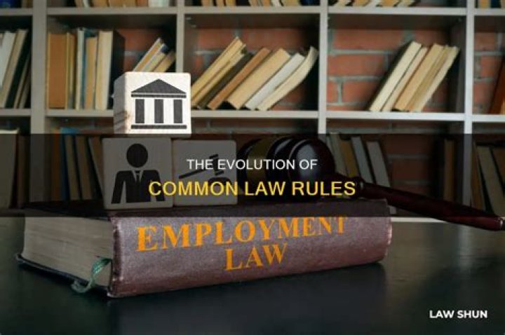 How are common law rules developed?