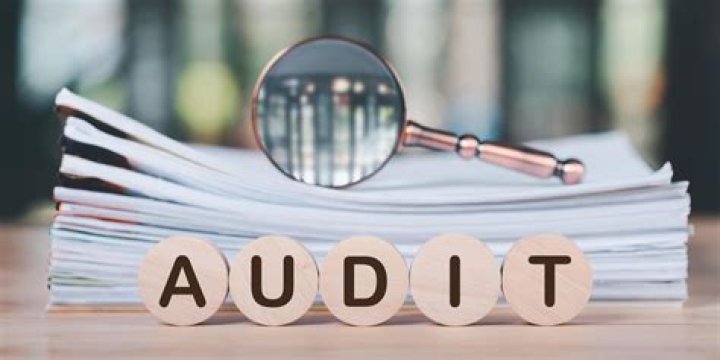 How can I download my tax audit report?