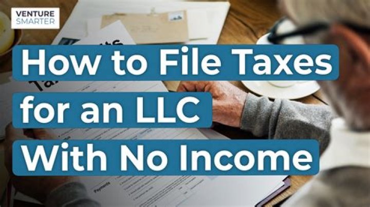 How can I file my taxes with no income?
