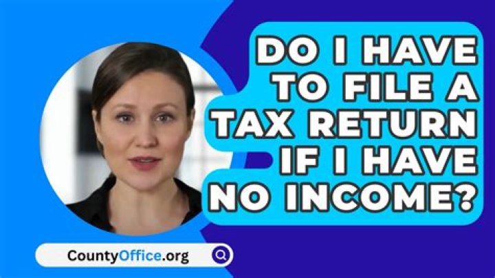 How do I file a tax return if I have no income?