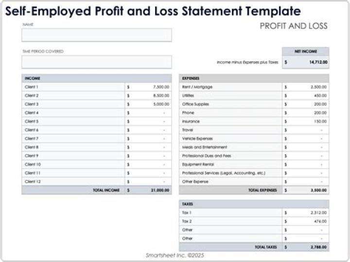 How do I fill out a profit and loss statement for self employed?