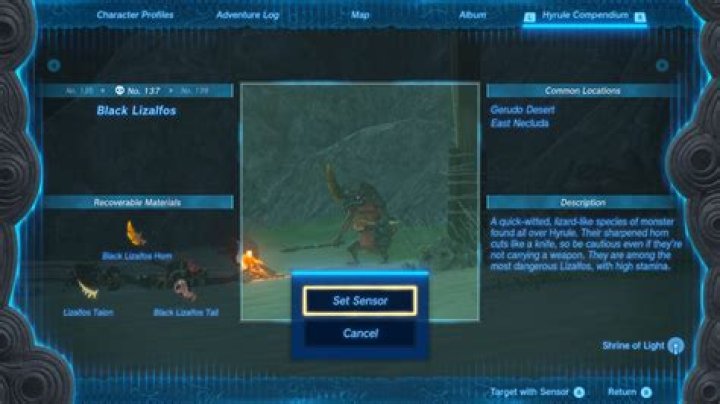 How do I get an IRS Live support?