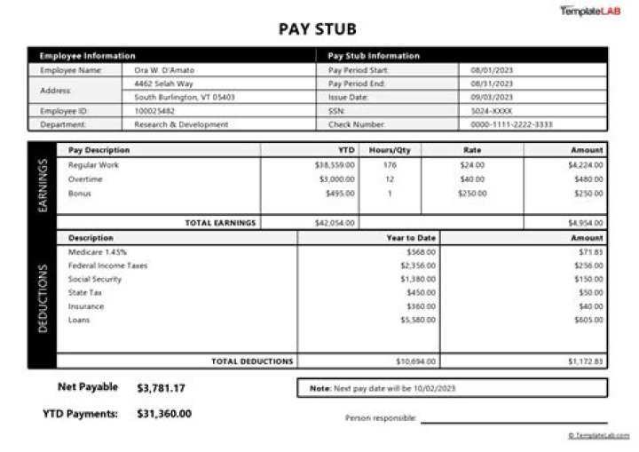 How do I get old Paystubs?