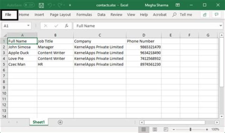 How do I manage contacts in Excel?