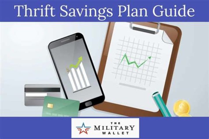 How do I read my Thrift Savings Plan?