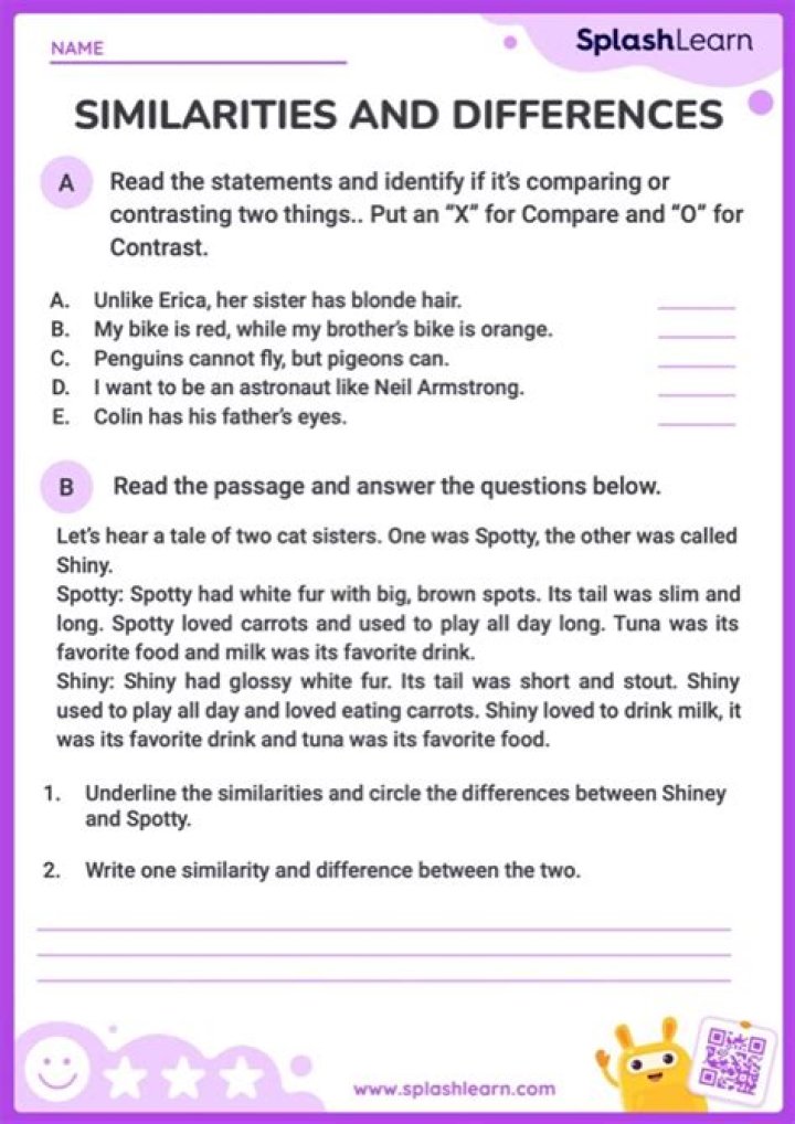 How do you describe similarities and differences?