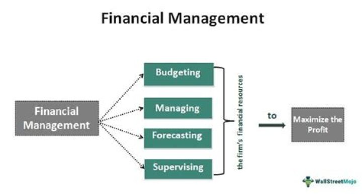 How do you explain financial management?
