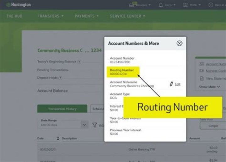 How do you find your routing number online?
