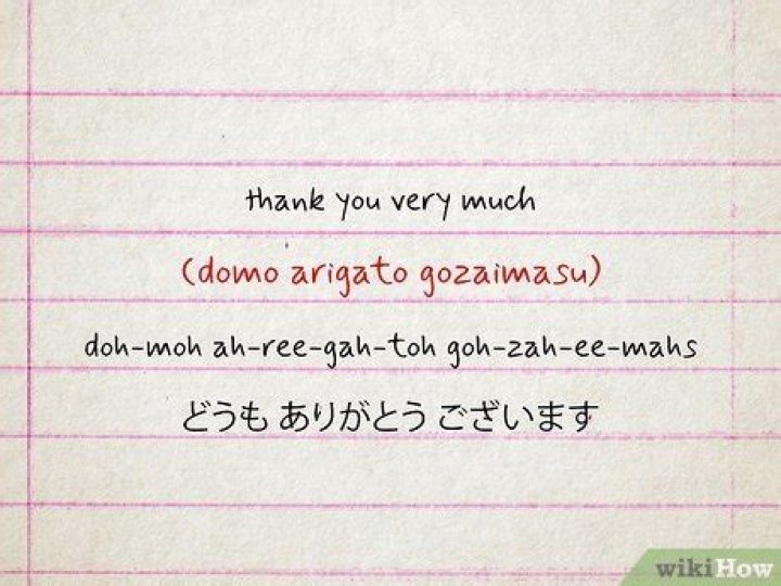 How do you say thank you for the explanation?