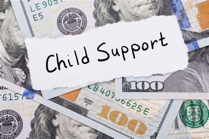 How does back child support work-paying or collecting?