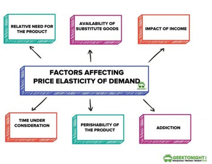 How does price elasticity affect pricing decisions?