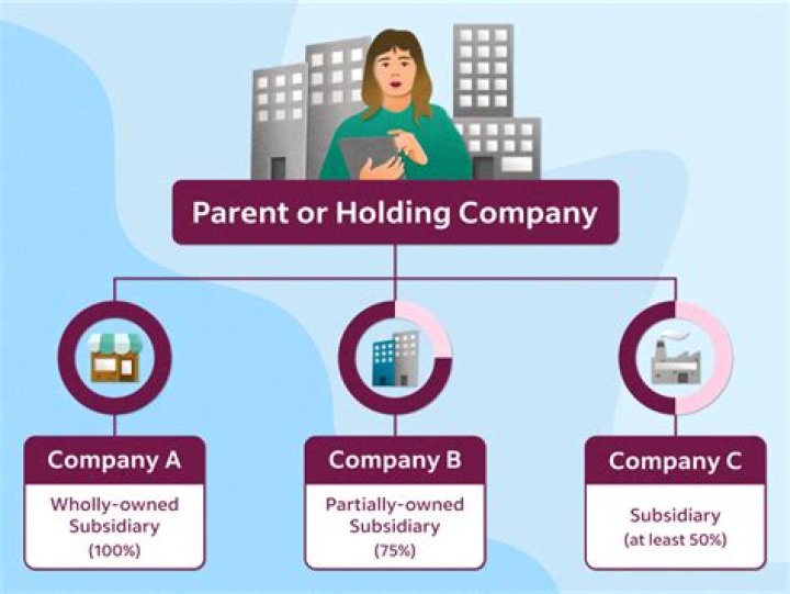 How is a holding company managed?