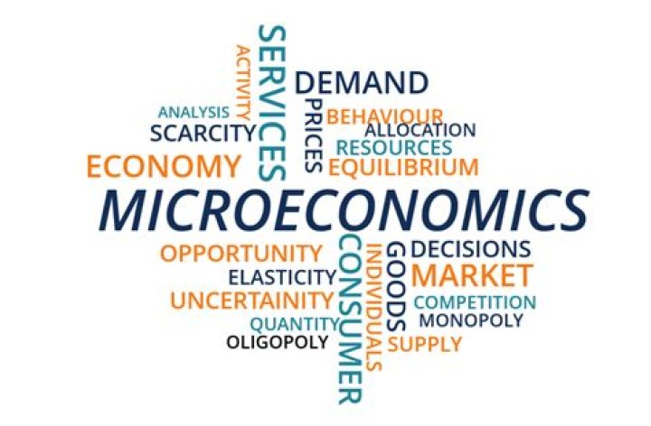 How is microeconomics used in everyday life?