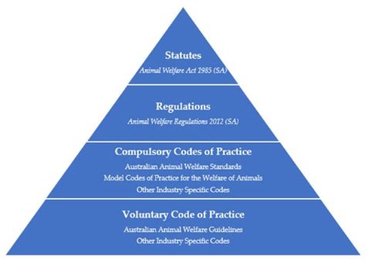 How legislation is passed in Australia?