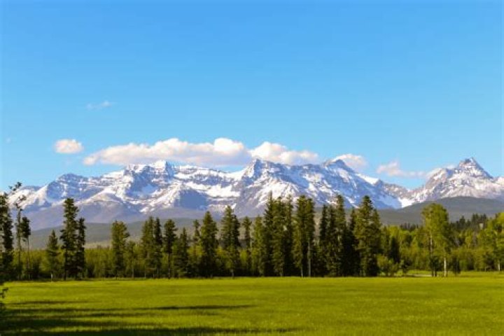 How long are Montana tax refunds taking?