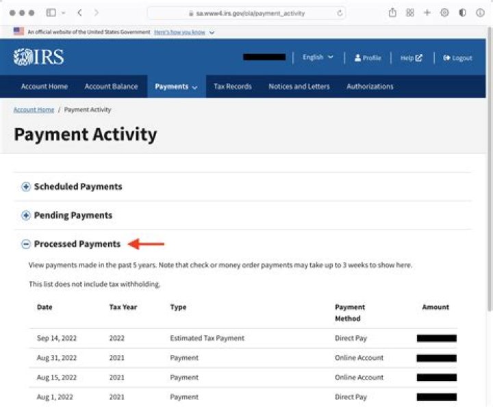 How many times can you access the IRS portal?