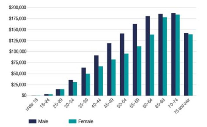 How much can I earn as a self funded retiree?