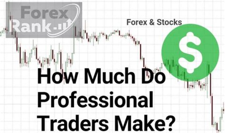 How much do professional traders make?