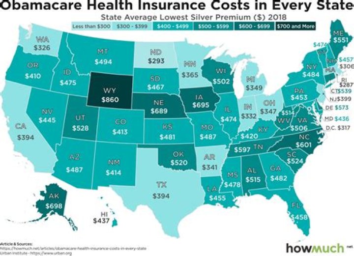 How much does ObamaCare cost 2019?