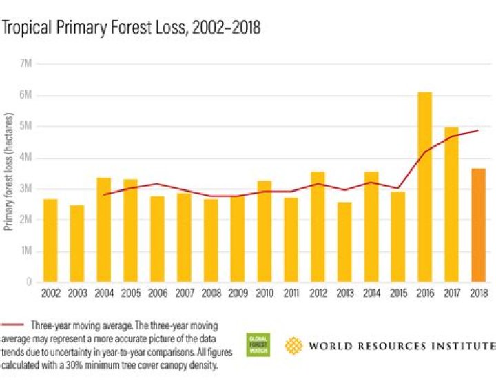 How much forest land we are losing every year?