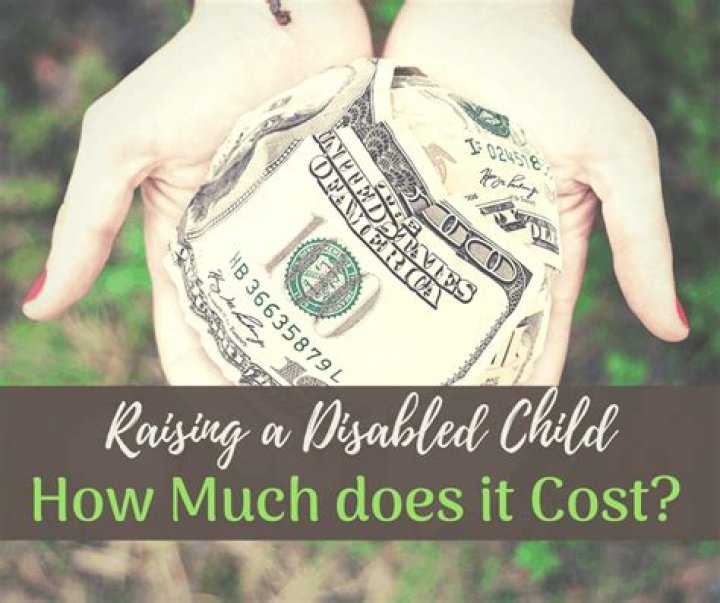 How much is a disability check for?